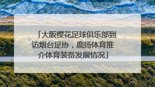 大阪樱花足球俱乐部到访烟台足协，鹿扬体育推介体育装备发展情况