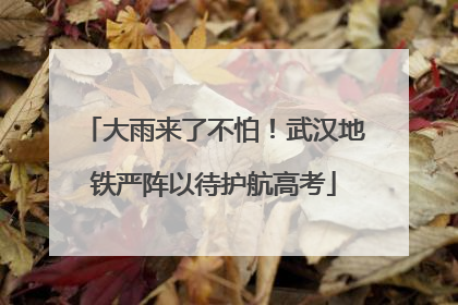 大雨来了不怕！武汉地铁严阵以待护航高考