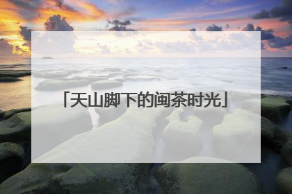 天山脚下的闽茶时光