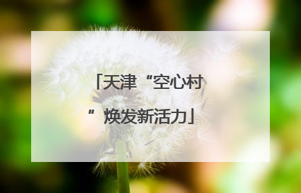 天津“空心村”焕发新活力