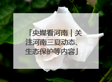 央媒看河南｜关注河南三夏动态、生态保护等内容