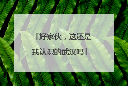 好家伙，这还是我认识的武汉吗