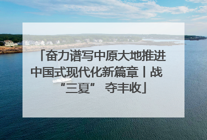 奋力谱写中原大地推进中国式现代化新篇章丨战“三夏” 夺丰收