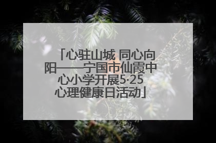 心驻山城 同心向阳——宁国市仙霞中心小学开展5·25心理健康日活动