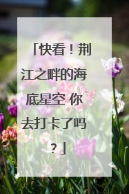 快看！荆江之畔的海底星空 你去打卡了吗？