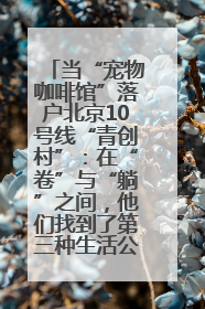 当“宠物咖啡馆”落户北京10号线“青创村”：在“卷”与“躺”之间，他们找到了第三种生活公式