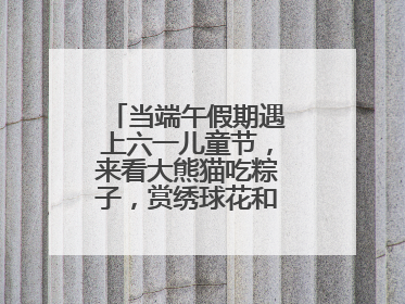 当端午假期遇上六一儿童节，来看大熊猫吃粽子，赏绣球花和马鞭草花海