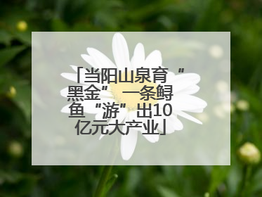 当阳山泉育“黑金” 一条鲟鱼“游”出10亿元大产业
