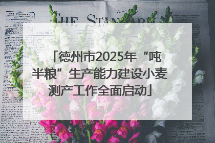 德州市2025年“吨半粮”生产能力建设小麦测产工作全面启动