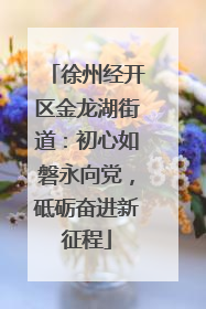 徐州经开区金龙湖街道：初心如磐永向党，砥砺奋进新征程