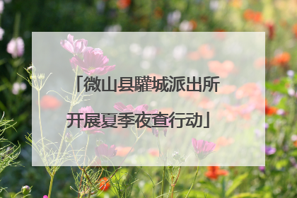 微山县驩城派出所开展夏季夜查行动