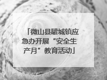 微山县驩城镇应急办开展“安全生产月”教育活动