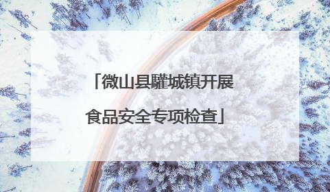微山县驩城镇开展食品安全专项检查