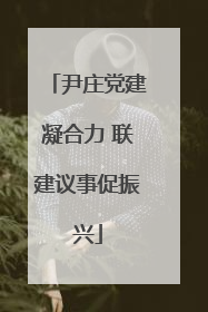 尹庄党建凝合力 联建议事促振兴
