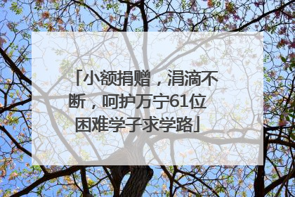 小额捐赠，涓滴不断，呵护万宁61位困难学子求学路