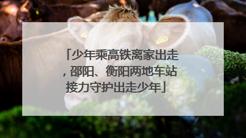 少年乘高铁离家出走，邵阳、衡阳两地车站接力守护出走少年