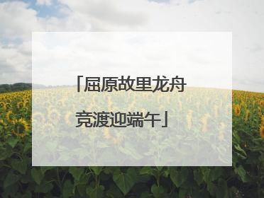 屈原故里龙舟竞渡迎端午