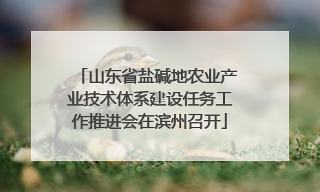 山东省盐碱地农业产业技术体系建设任务工作推进会在滨州召开