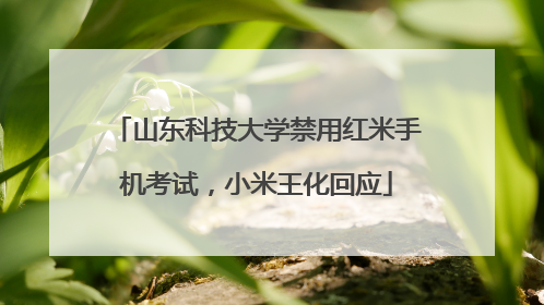 山东科技大学禁用红米手机考试，小米王化回应