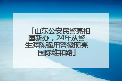 山东公安民警亮相国新办，24年从警生涯陈强用警徽照亮国际维和路