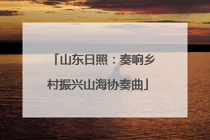 山东日照：奏响乡村振兴山海协奏曲