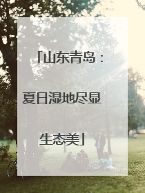 山东青岛：夏日湿地尽显生态美