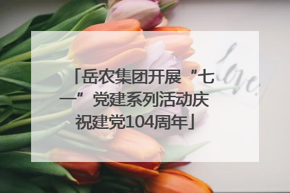 岳农集团开展“七一”党建系列活动庆祝建党104周年