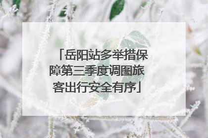 岳阳站多举措保障第三季度调图旅客出行安全有序