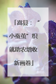 嵩县：“小蚕茧”织就助农增收新画卷