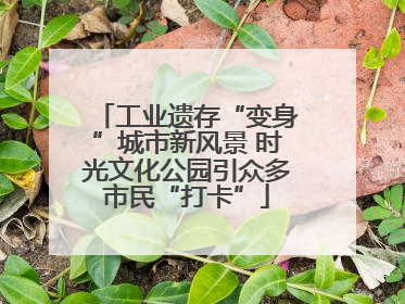 工业遗存“变身”城市新风景 时光文化公园引众多市民“打卡”