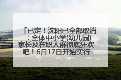 已定！沈阳已全部取消：全体中小学(幼儿园)家长及在职人群彻底狂欢吧！6月17日开始实行！18岁及以上可参加25年学历提升报名！