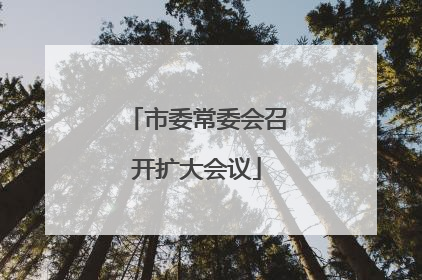 市委常委会召开扩大会议