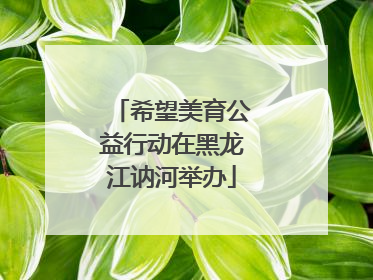 希望美育公益行动在黑龙江讷河举办