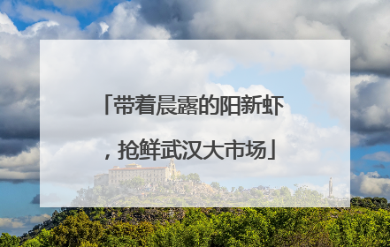 带着晨露的阳新虾，抢鲜武汉大市场