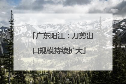 广东阳江：刀剪出口规模持续扩大