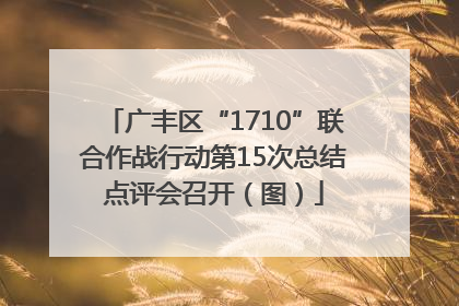 广丰区“1710”联合作战行动第15次总结点评会召开（图）