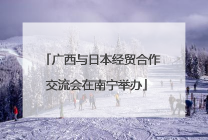 广西与日本经贸合作交流会在南宁举办