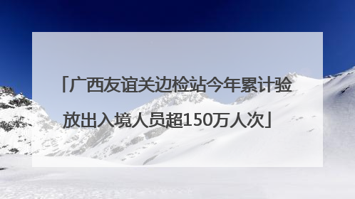 广西友谊关边检站今年累计验放出入境人员超150万人次