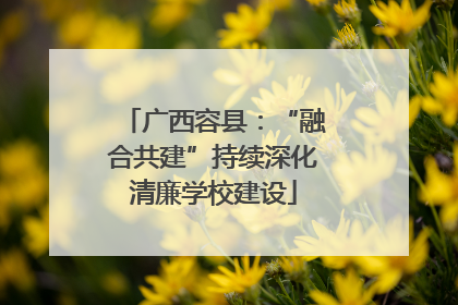 广西容县：“融合共建”持续深化清廉学校建设