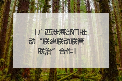 广西涉海部门推动“联建联动联管联治”合作