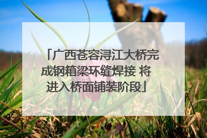 广西苍容浔江大桥完成钢箱梁环缝焊接 将进入桥面铺装阶段