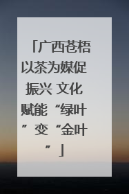 广西苍梧以茶为媒促振兴 文化赋能“绿叶”变“金叶”