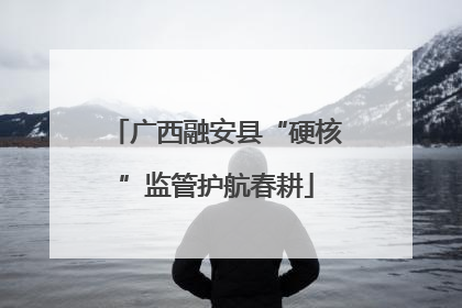 广西融安县“硬核”监管护航春耕