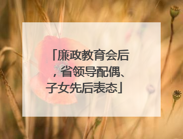 廉政教育会后，省领导配偶、子女先后表态