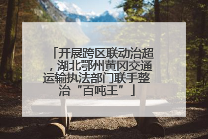 开展跨区联动治超，湖北鄂州黄冈交通运输执法部门联手整治“百吨王”