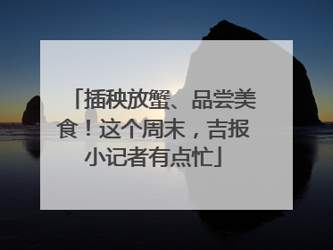 插秧放蟹、品尝美食！这个周末，吉报小记者有点忙
