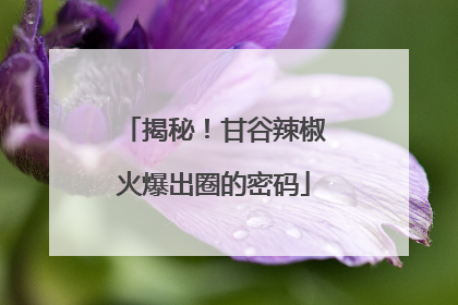 揭秘！甘谷辣椒火爆出圈的密码