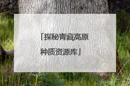 探秘青藏高原种质资源库