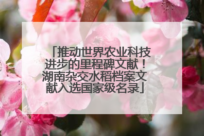 推动世界农业科技进步的里程碑文献！湖南杂交水稻档案文献入选国家级名录