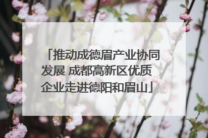 推动成德眉产业协同发展 成都高新区优质企业走进德阳和眉山